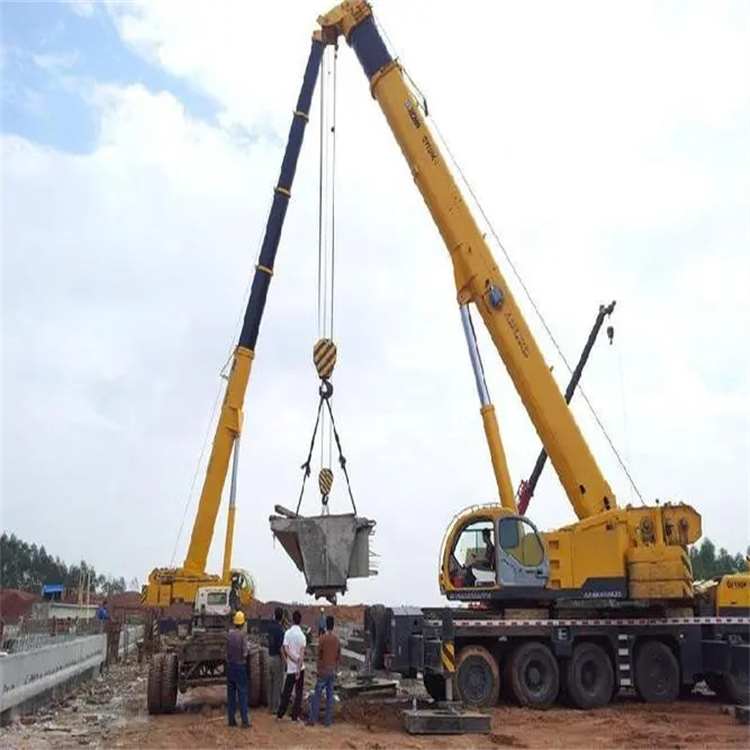 阳谷小型吊机出租电话|厂房设备吊装方案|24小时服务覆盖